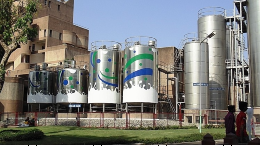 Dairy Dairy
