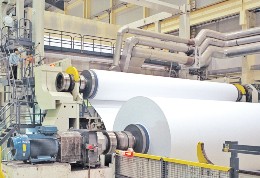 Pulp & paper Pulp & paper