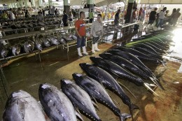fisheries fisheries
